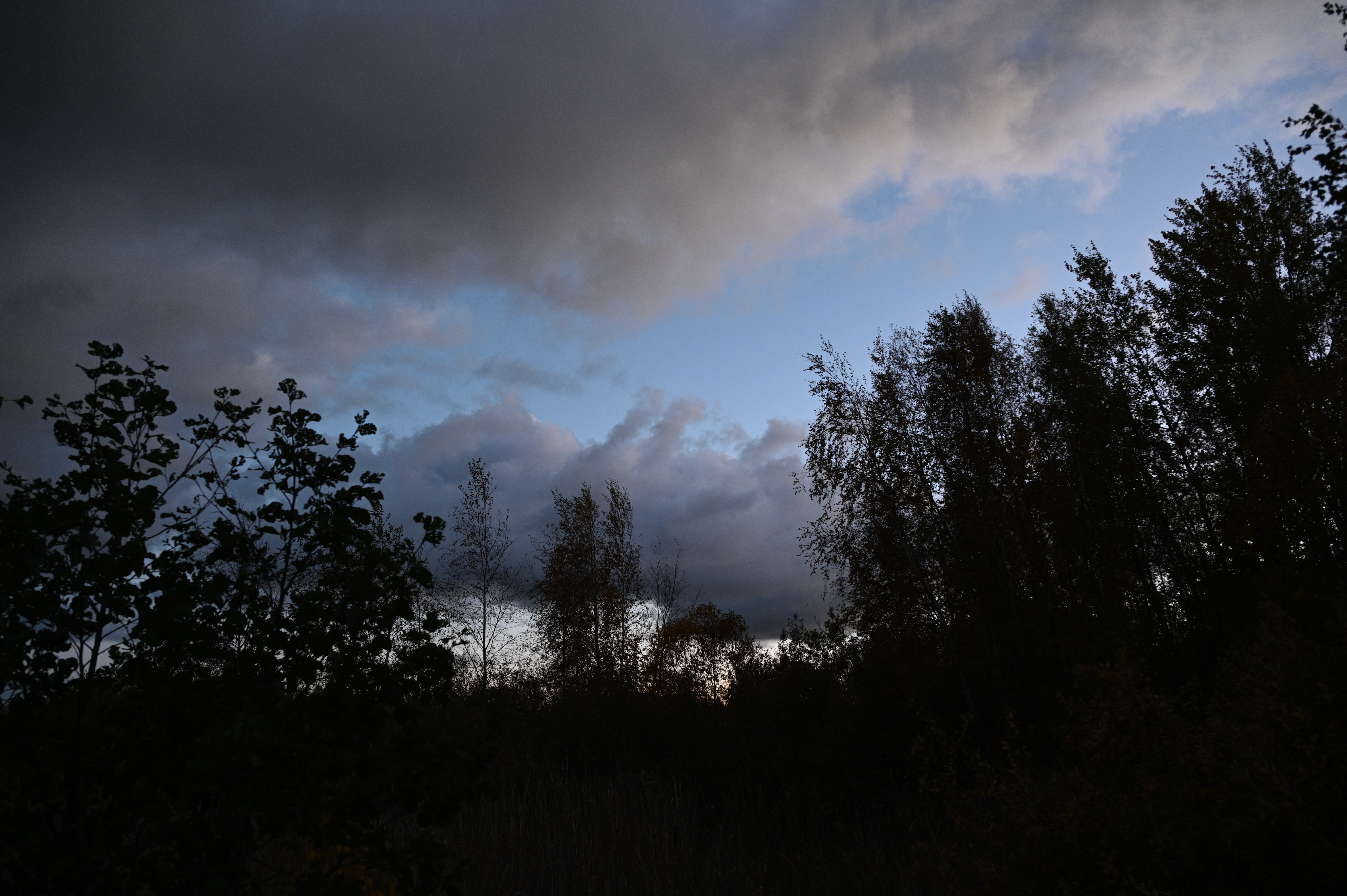 2025/10/18 - walk/DSC_0601.JPG